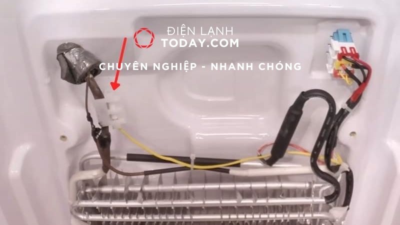 Điện lạnh Today cung cấp dịch vụ thay sò nóng tủ lạnh với mức giá hợp lý và minh bạch