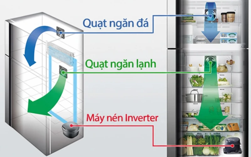 Cấu tạo và nguyên lý làm lạnh của dòng tủ Hitachi hiện đại