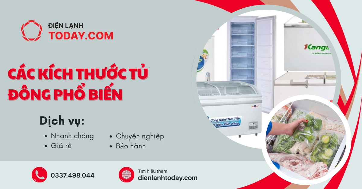 Các kích thước tủ đông phổ biến